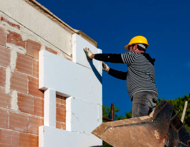 Best Cellulose Insulation in Kenova, WV