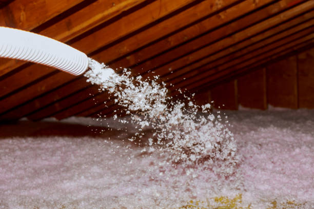 Trusted Kenova, WV Insulation Contractor Experts
