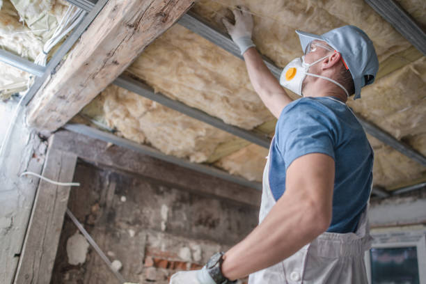 Types of Insulation We Offer in Kenova, WV