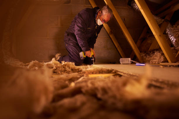 Best Fiberglass Insulation in Kenova, WV